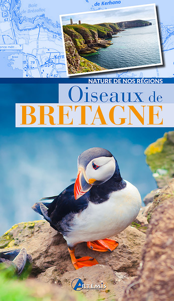 Oiseaux De Bretagne