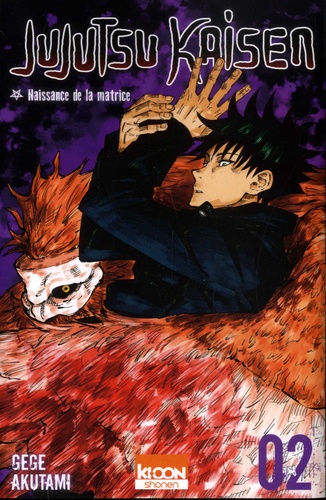 Jujutsu Kaisen Volume 2