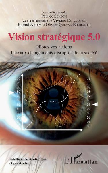 Vision stratégique 5.0 - Viviane Du Castel