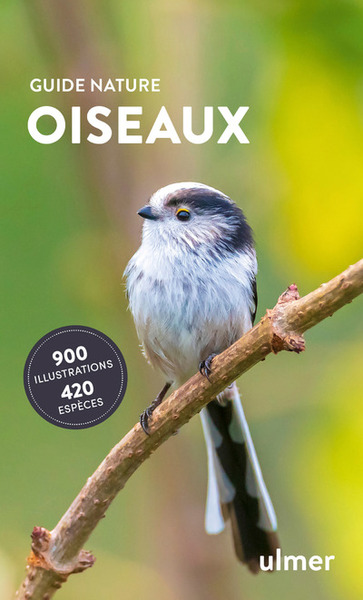 Oiseaux