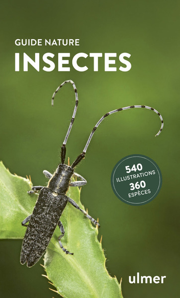 Insectes - Heiko Bellmann