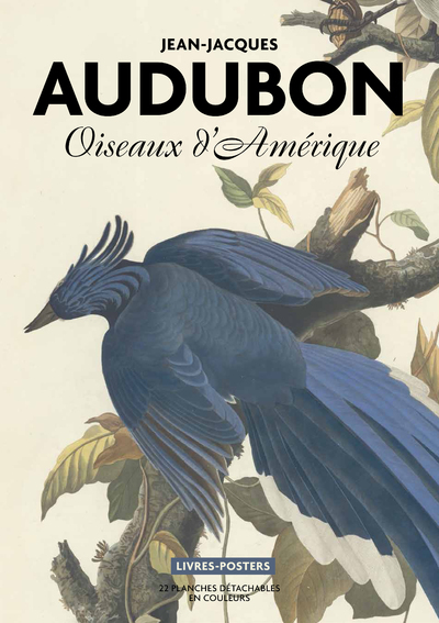 Audubon. Oiseaux d'Amérique