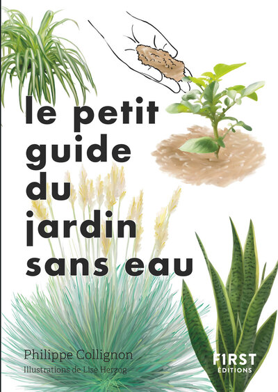 Le Petit Guide Jardin Sans Eau