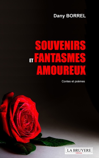 Souvenirs Et Fantasmes Amoureux - Dany BORREL