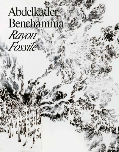 Abdelkader Benchamma, Rayon fossile