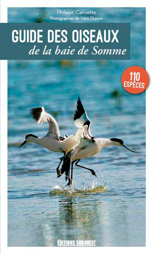 Guide Des Oiseaux De La Baie De Somme