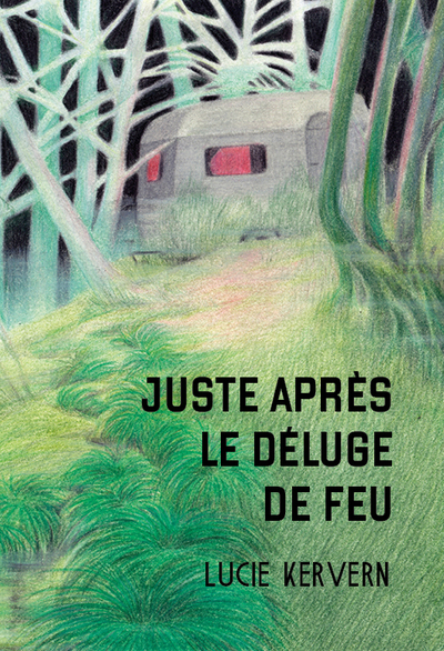 2 - Juste après le déluge de feu