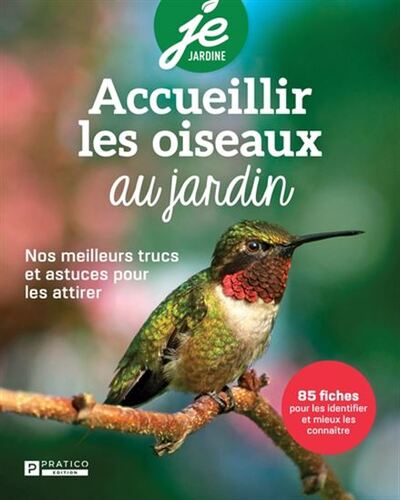 Accueillir Les Oiseaux Au Jardin