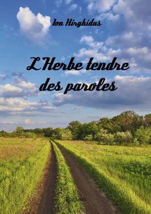 L'herbe tendre des paroles