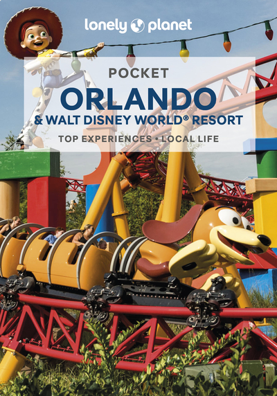 Pocket Orlando & Walt Disney World Resort 3ed -anglais-