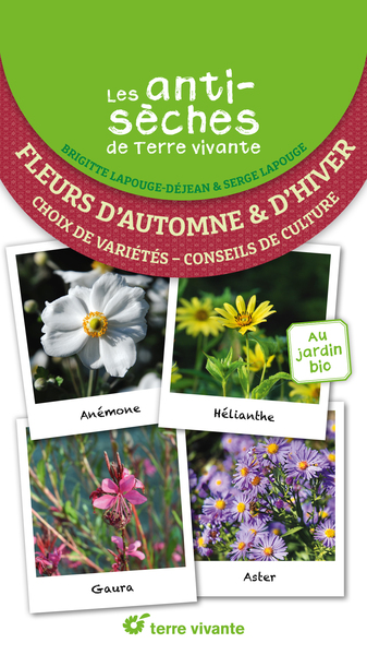 Les antisèches de Terre vivante : Fleurs d'automne et d'hiver