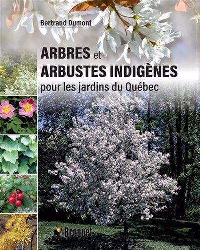 Arbres Et Arbustes Indigenes Pour Les Jardins Du Quebec