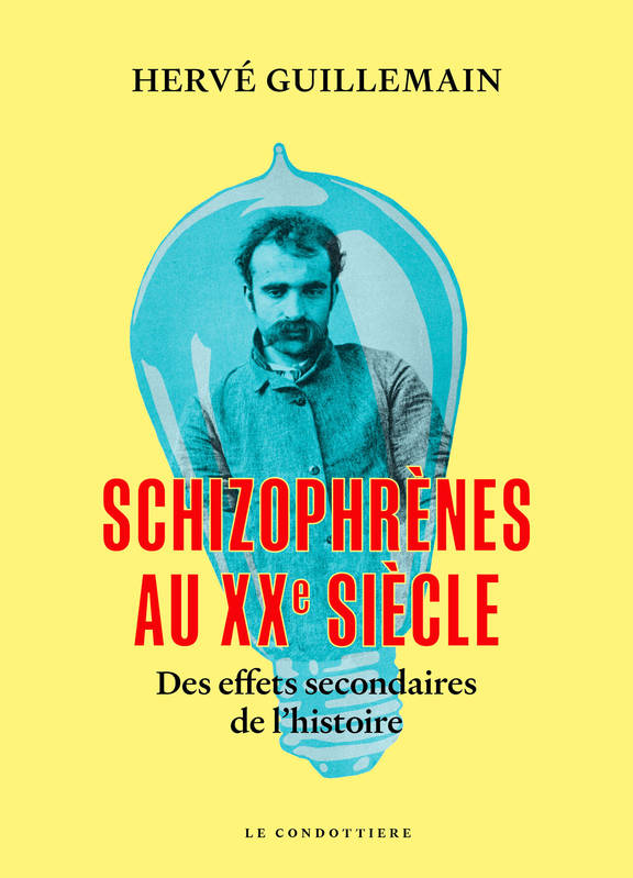 Schizophrènes au XXe siècle - Hervé Guillemain