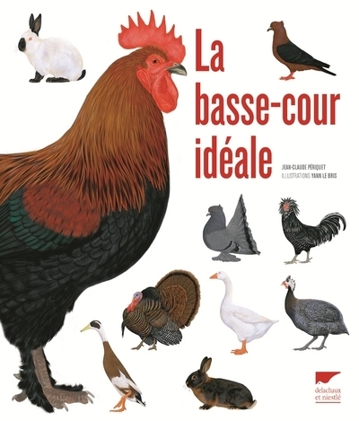 La Basse cour idéale