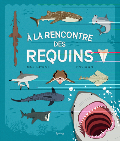 A la rencontre des requins