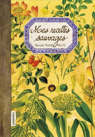 Mes recettes sauvages - Nuria Pastor Martinez