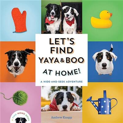 Let's Find Yaya and Boo at Home! /anglais