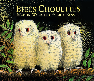 Bébés chouettes - Martin Waddell