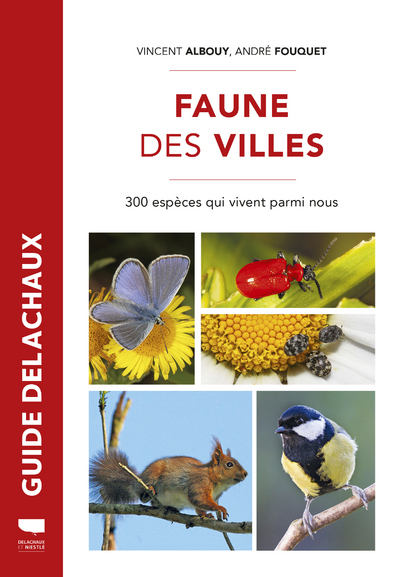 Faune des villes