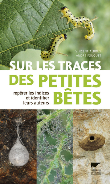 Sur les traces des petites bêtes