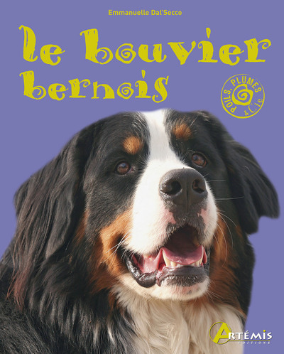 Bouvier Bernois (Le)