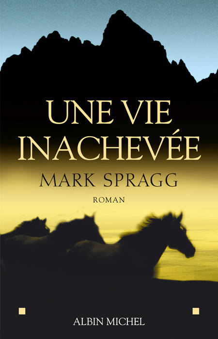 Une vie inachevée