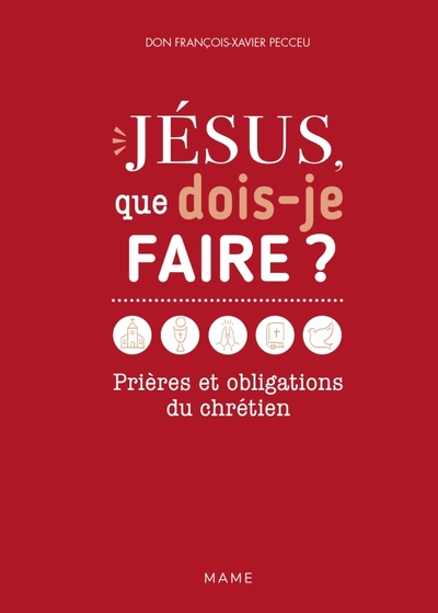 Jésus, que dois-je faire ? Prières et obligations du chrétien - François-xavier Pecceu