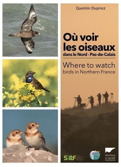 Où voir les oiseaux dans le Nord   Pas-de-Calais