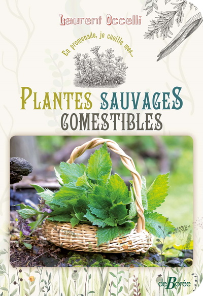 Plantes sauvages comestibles