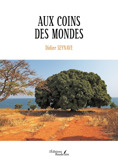 Aux coins des mondes - Didier SEYNAVE