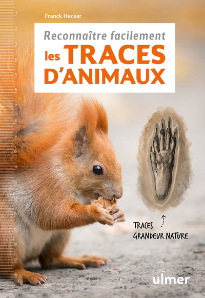 Reconnaître facilement les traces d'animaux - Traces grande nature