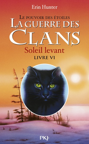 La guerre des clans : le pouvoir des étoiles (Cycle III) Volume 6