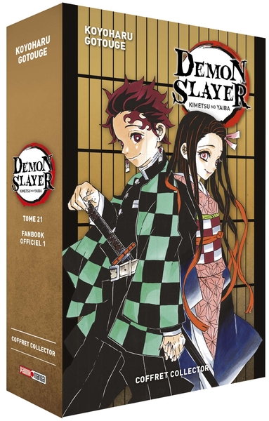 Demon Slayer Volume 21