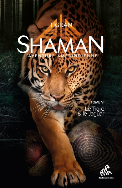 Shaman Volume 6