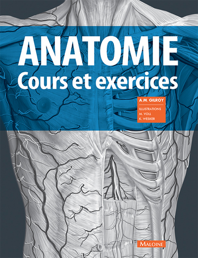 Anatomie / cours et exercices