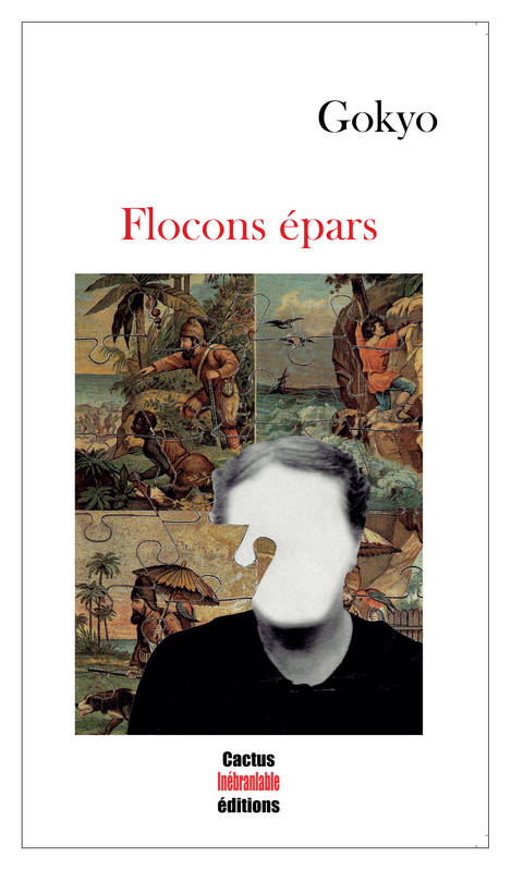 Flocons épars - Gokyo