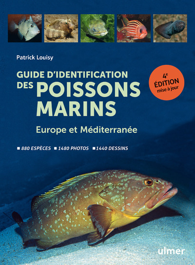 Guide d'identification des poissons marins - Patrick Louisy