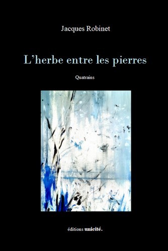 L’herbe entre les pierres - Jacques Robinet