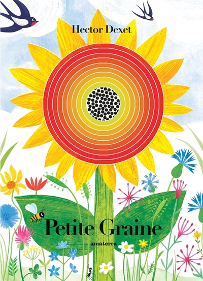 Petite Graine - Hector Dexet