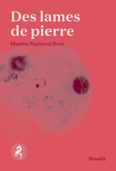 Des Lames De Pierre - Raymond Bock Maxime