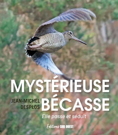 Mystérieuse bécasse