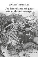 Une étoile filante me guide vers les chevaux sauvages - Joseph Stimbach