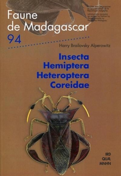 Insecta Hemiptera Heteroptera Coreidae - Harry Brailovsky Alperowitz