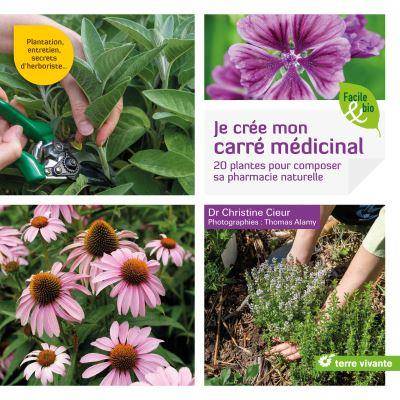 Je crée mon carré medicinal