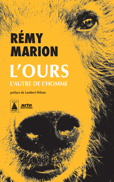 L'Ours