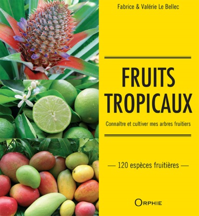 Fruits tropicaux