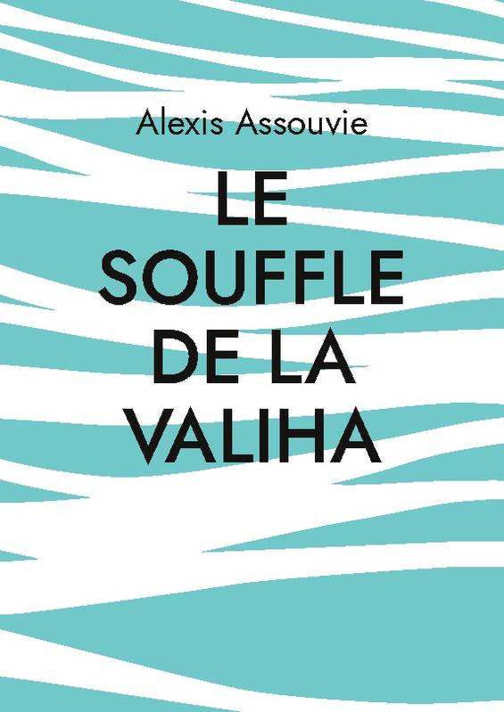 le souffle de la valiha - Alexis Assouvie