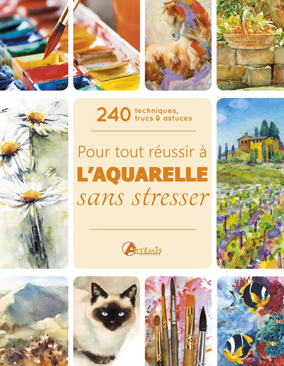 Pour tout réussir à l'aquarelle sans stresser - 240 techniques, trucs & astuces - Gill Barron