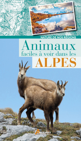 Animaux Faciles À Voir Dans Les Alpes