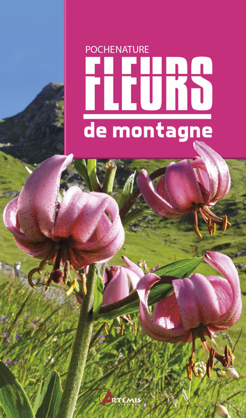 Fleurs de montagne